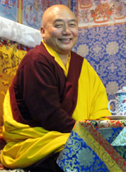 檔案:Rigzin Dorjee Rinpoche.jpg