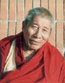 Zhichen Ontrul Rinpoche.jpg