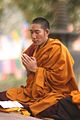 Chamtrul Rinpoche.jpg