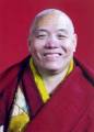 Tulku Theglo Rinpoche2.png