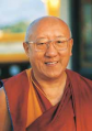Bokar Rinpoche.png